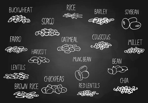 Vector hand drawn set of cereals, beans with their names. Chalkboard illustration for store decoration, grocery shop concept. Illustration can be used for sold by weight food — Stock Illustration Vector Hand Drawn Set Cereals Beans Names Chalkboard Illustration Store Stock Illustration