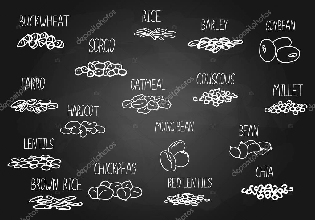Vector hand drawn set of cereals, beans with their names. Chalkboard illustration for store decoration, grocery shop concept. Illustration can be used for sold by weight food