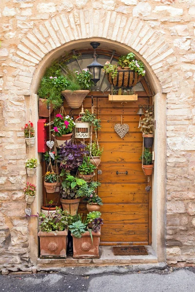 Oude Houten Deuren Met Een Heleboel Potten Met Bloemen Planten — Stockfoto