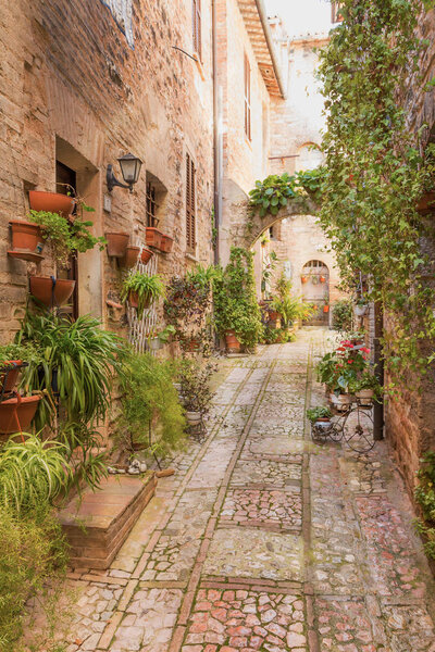 View from oblique of an old street decorated with many pots of plants and flowers. Spello. Umbria, Italy.