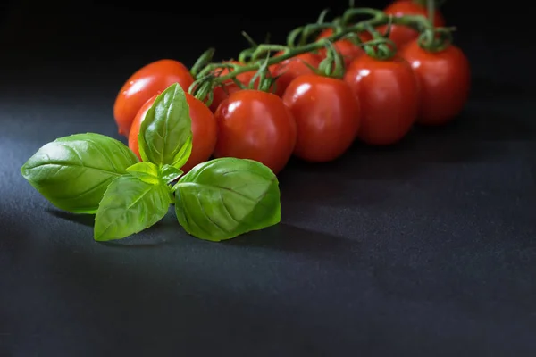 Låg Nyckel Skott Buskar Tomater Med Ett Blad Basilika Förgrunden — Stockfoto