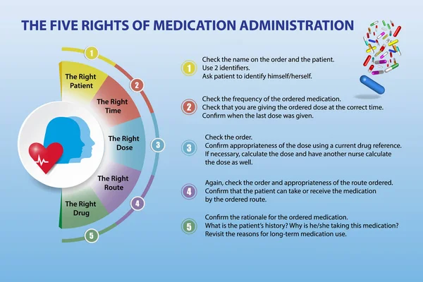 Närvaro Som Visar Fem Rättigheterna För Läkemedelsadministrering Presentationen Lämplig För — Stock vektor