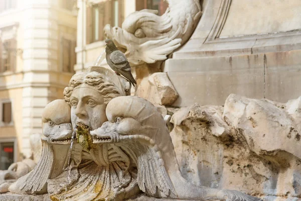 ローマ イタリア のロトンダ広場の噴水の上に座ってハトのクローズ アップ ビュー 写真は 記念碑の保護のテーマとして使用できます — ストック写真