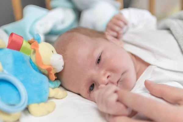 Милый новорожденный мальчик держит палец матери — стоковое фото