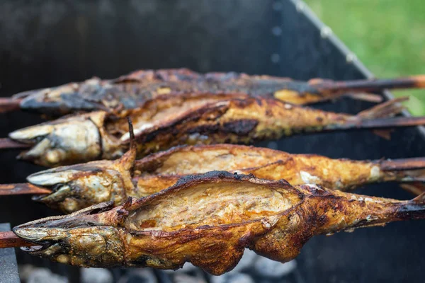 Grilled fish mackerel with spices on campfire — Stock Photo, Image