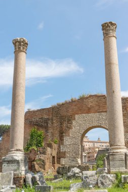 Forum Romanum antik Basilica Emilia kalıntıları. Roma. 