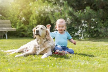 Sevimli küçük oğlan bahçede Golden Retriever köpeğiyle fotoğraf makinesine el sallıyor.