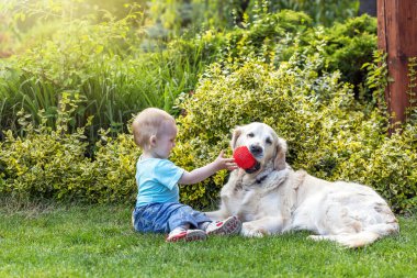 Şirin küçük oğlan evcil hayvan oyuncağıyla ve Golden Retriever köpeğiyle bahçede oynuyor.