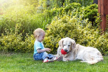 Şirin küçük oğlan bahçede Golden Retriever köpeğiyle oynuyor.