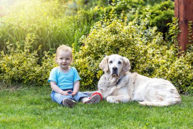 Şirin küçük oğlan bahçede Golden Retriever köpeğiyle birlikte kameraya bakıyor..