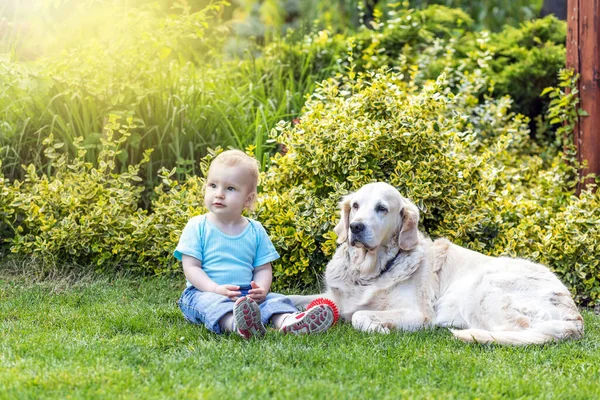 Cute Liitle Baby Boy Posing Together Golden Retriever Dog Summer — Stock Photo, Image