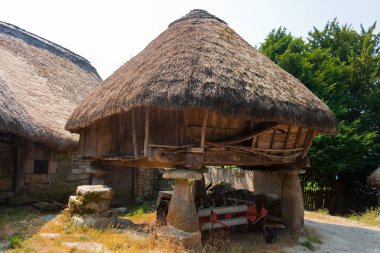 Horreo: hasat depolamak için kullanılan geleneksel rustik yapı sütunlar, ahşap duvarlar ve thatched çatı tarafından yerden kaldırdı. Önceden Roma Köyü, Piornedo, Os Ancares, Lugo, Galiçya, İspanya