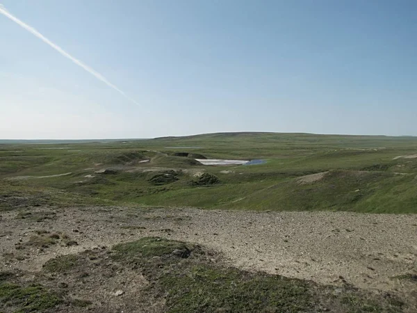 Tundra Estate Foto Una Vista Della Natura Nella Tundra Degli — Foto Stock