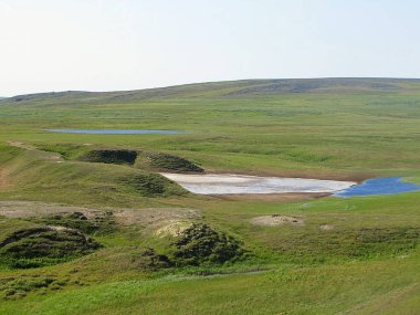 Yaz tundra gölde. Tundra Peyzaj Fotoğraf.