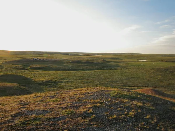 Tundra Estate Foto Una Vista Della Natura Nella Tundra Degli — Foto Stock