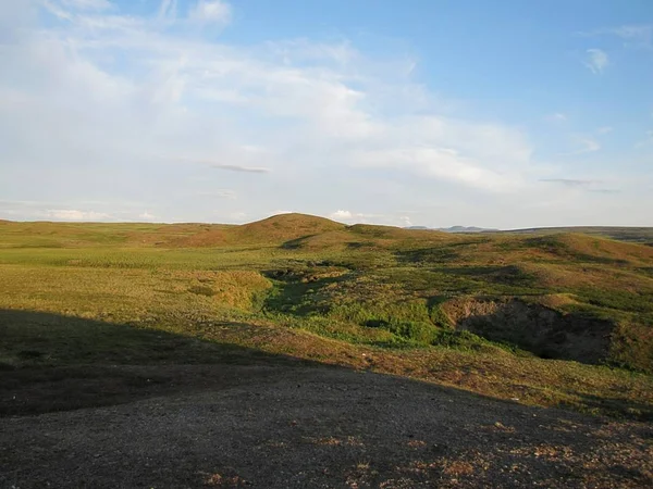 Tundra Verão Foto Uma Vista Natureza Tundra Ural — Fotografia de Stock