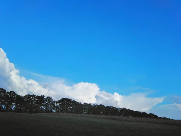 Field Planting Trees Blue Sky Photo Spring Landscape Village — Stock Photo, Image