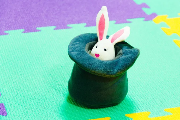 Oyuncak Noel tavşan şapkadan görünüyor. Sihirli tavşan. Noel ve yeni yıl kavramı, yatay banner, renkli arka plan kapatın