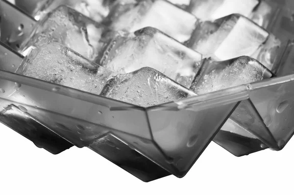 Frozen Ice Cubes Cells Plastic Container White Background — Stock Photo, Image