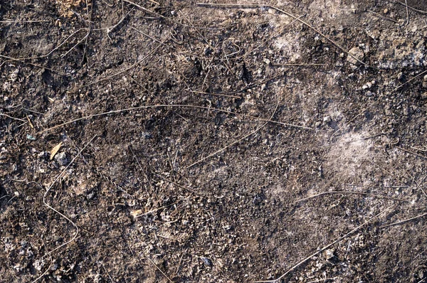 Die Oberfläche Der Erde Nach Einem Brand Mit Resten Von — Stockfoto