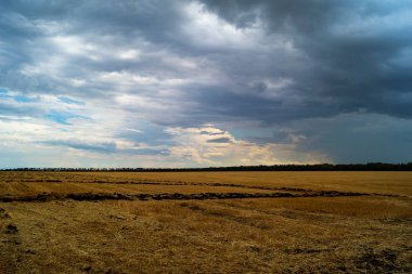Alandan sonra hasat ile düşük yağmur yoğun bulutlar gökyüzü karşı.