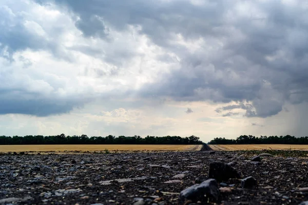 Rural Landscape Fields Road Them Background Strip Dense Forest Sky — Stock Photo, Image