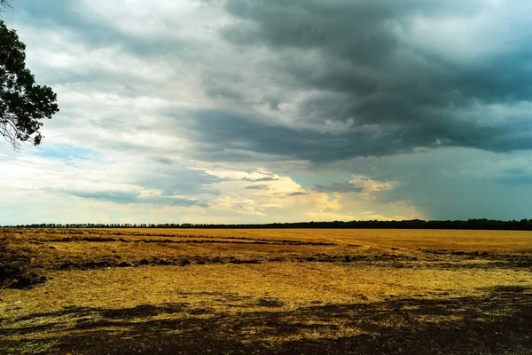 Αγροτικό Τομέα Μπροστά Από Μια Καταιγίδα Ενάντια Ένα Δραματικό Ουρανό — Φωτογραφία Αρχείου