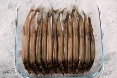 Küçük deniz balık, capelin, yoğun cam arkadan altındaki koydu.