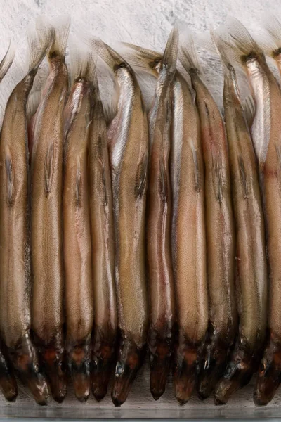 Deniz Küçük Balık Çaça Yedeklemek Sıkı Paketlenmiş Bir Cam Kap — Stok fotoğraf