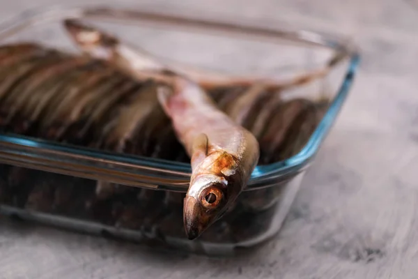 Sprat Est Sélectionné Parmi Des Plats Verre Avec Des Poissons — Photo