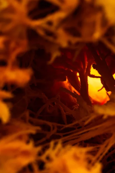 Αφηρημένη Υφή Πορτοκαλί Χοντρές Ίνες Οπίσθιος Φωτισμός Φανταστικό Οικόπεδο Στη — Φωτογραφία Αρχείου