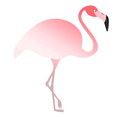 Vektör çizim düz tarzı - pembe flamingo tek ayak üstünde duruyor. Beyaz arka plan üzerinde izole.