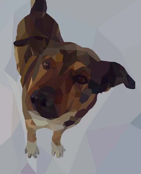 Imagen Vectorial Perro Estilo Polivinílico Bajo Perro Adulto Mira Hacia — Vector de stock