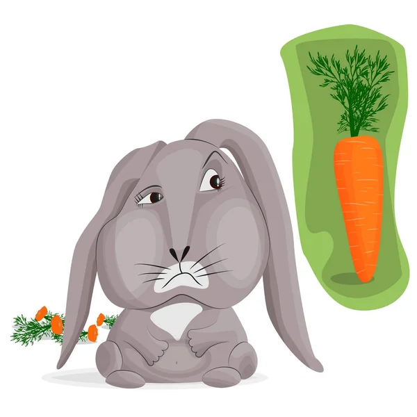Vektor bild av en grå sorglig kanin på en vit bakgrund. Kanin tittar på en stor vacker morot på en grön bakgrund. Bakom en hel del matrester från att äta morötter. Begreppet frosseri och överskott i kosten. — Stock vektor