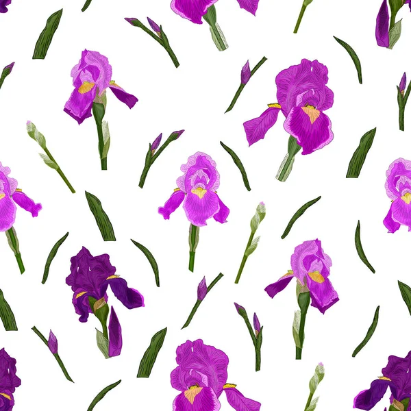 Iris çiçekler, yeşil ile Seamless Modeli yaprakları, tomurcukları kök üzerinde. Botanik süsleme kumaş, yazdırma, duvar kağıdı tasarımı için beyaz bir arka plan üzerinde.