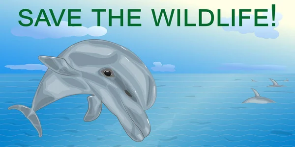 Gray Dolphin Cartoon Style Background Sea Wildlife Conservation Concept — Stock Vector