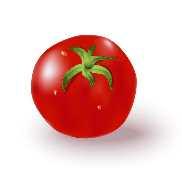 Image Vectorielle Réaliste Tomate Rouge Sur Fond Blanc Feuilles Vertes — Image vectorielle