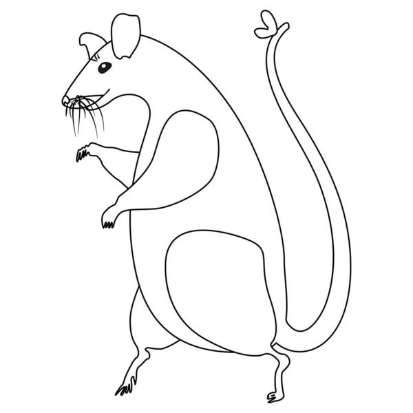 Eine Große Ratte Die Auf Zwei Hinterbeinen Mit Einem Bogen — Stockvektor