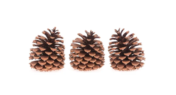 Three Pine Cones Isolated White Background — Stock Photo, Image
