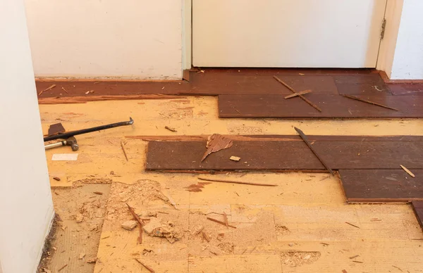 Bir evde bir katı ahşap zemin kesiliyor