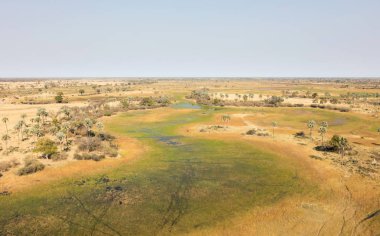 Okavango Delta hava manzarası, Botswana 'nın büyüleyici manzarası.