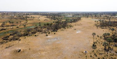 Okavango Delta hava manzarası, Botswana 'nın büyüleyici manzarası.