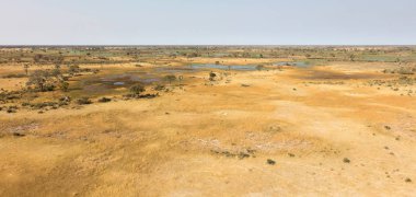 Okavango Delta hava manzarası, Botswana 'nın büyüleyici manzarası.