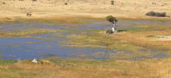 Okavango Delta Hava Manzarası Botswana Nın Büyüleyici Manzarası — Stok fotoğraf