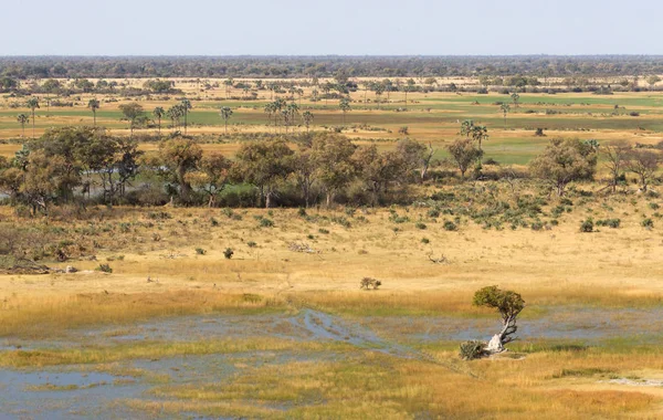 Okavango Delta Hava Manzarası Botswana Nın Büyüleyici Manzarası — Stok fotoğraf