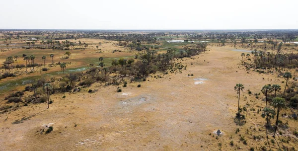 Okavango Delta hava manzarası, Botswana 'nın büyüleyici manzarası.