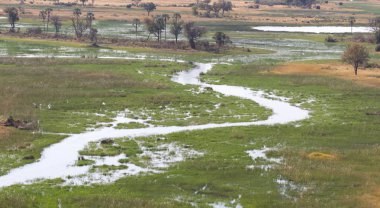 Okavango Delta hava manzarası, Botswana 'nın büyüleyici manzarası.