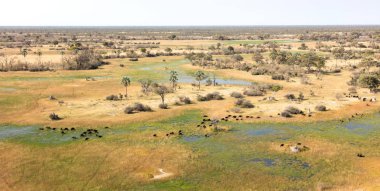 Okavango Delta hava manzarası, Botswana 'nın büyüleyici manzarası.