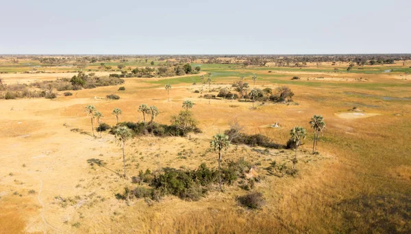 Okavango Delta Aerial View Botswana Stunning Landscape — Stock Photo, Image