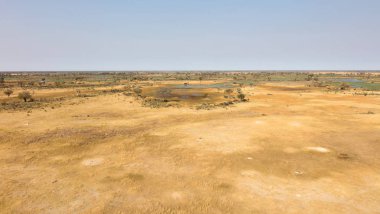 Okavango Delta hava manzarası, Botswana 'nın büyüleyici manzarası.